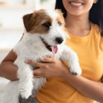 closeup-of-jack-russel-terrier-puppy-in-owner-hand-2022-12-16-06-42-27-utc
